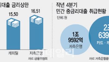 2금융권·인뱅 중금리대출엔 가계대출 총량 규제 예외둔다[only이데일리]