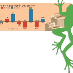 "매도 사이드카 울리면 줍줍"…청개구리 개미들