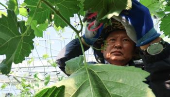 정청래 "김부겸처럼 하정우 출마 삼고초려…만날 생각"