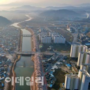 봄이 오거들랑, 다정한 벚님과 발맞춰 걸으리 [여행]