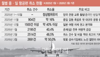 日 벚꽃 특수 실종…중·일 항공노선 취소율 50% 육박