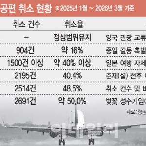 日 벚꽃 특수 실종…중·일 항공노선 취소율 50% 육박