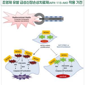 환자수 줄인 압타바이오, 임상 속도전…아이수지낙시브 기술수출 '승부수'