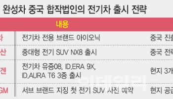 현대차·폭스바겐 中법인, 전기차 시장 재도전