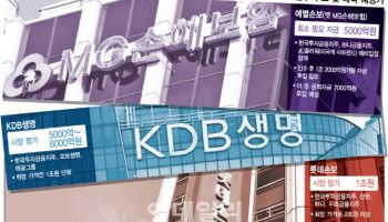 금융지주사 실적 희비 가른 보험사, 초반 비용 감내하면 ROE 반등