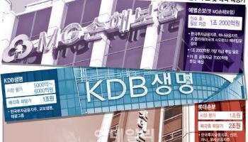 저출산·고령화에 사양산업 전락…금융업계 '계륵'된 보험사