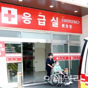 4살 '응급실 뺑뺑이' 돌게 한 병원, 유족에 4억 배상 판결