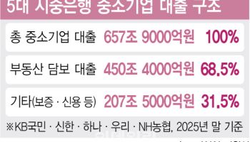 기술보다 땅…中企대출 70% '부동산 담보'[only이데일리]