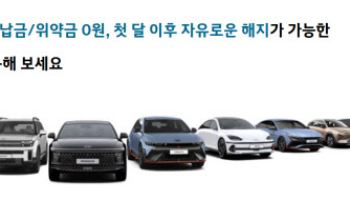 현대차 렌터카 진출…대·중소 업체에 캐피털까지 '각축'