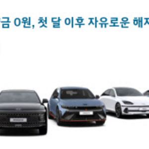 현대차 렌터카 진출…대·중소 업체에 캐피털까지 '각축'