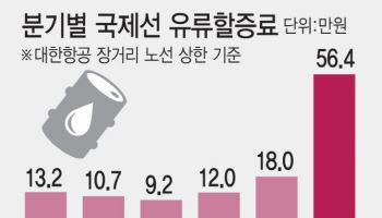 하늘 길까지 막혔다…살길 막막한 여행사