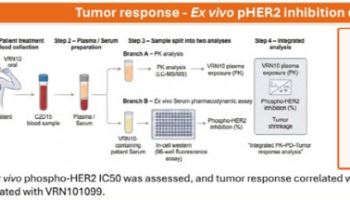 보로노이, AACR2026서 ‘VRN10’ 데이터 공개…HER2 치료 새 가능성 제시