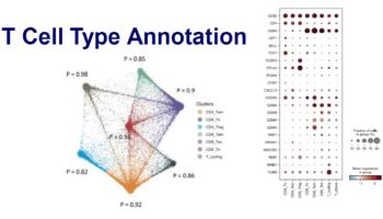 "일본 제약사 또 한 곳”…지니너스, 4월 추가 계약 임박