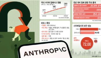 27년 '철통 방어벽' 몇 시간 만에 뚫렸다…"해킹 비용 2만~3만원"