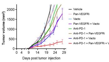 글로벌 빅파마가 포기한 전환성장인자-베타...메드팩토의 차별점은?