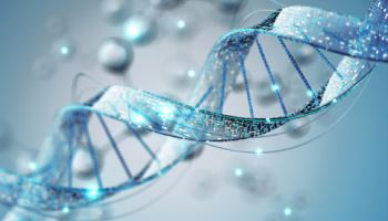 일라이 릴리 10조 베팅·영국 의료 정보 유출[클릭, 글로벌 제약·바이오]