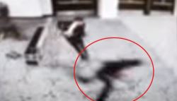 美만찬 총격범, 범행 10분 전 가족에 고위직부터…암살 계획 전달