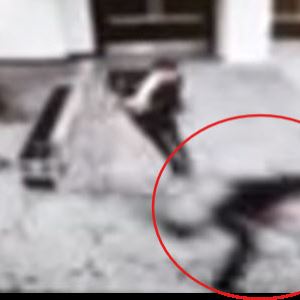 美만찬 총격범, 범행 10분 전 가족에 "고위직부터"…암살 계획 전달