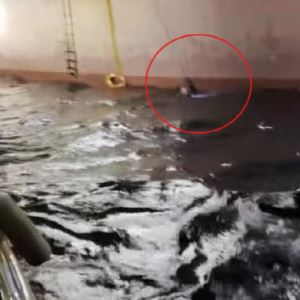 울진 바다서 사라진 다이버…12시간 표류 끝 삼척서 발견