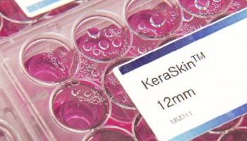 바이오솔루션 동물실험대체 ‘케라스킨’, OECD 가이드라인 등재…미국 이어 두 번째