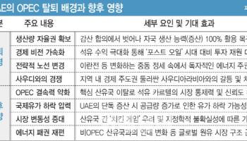 '3위 산유국' UAE, OPEC 탈퇴…깨진 석유 카르텔, 한국엔 기회(종합)