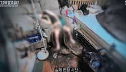 3천건 넘게 부검했지만...'구더기 방치' 부사관 아내 사진에 경악
