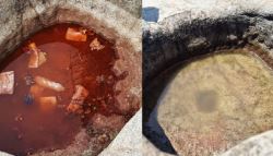 운 풀린다 사람 몰린 관악산 '라면 국물 범벅'…과천시 긴급 대응