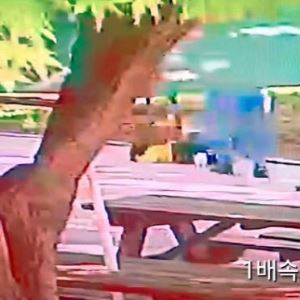 어린이날 앞두고 공원서 2살 아동 폭행…60대 입건