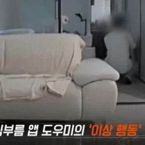 반려견 맡겼더니 여성 속옷 '킁킁'…30대 남성 충격 행동