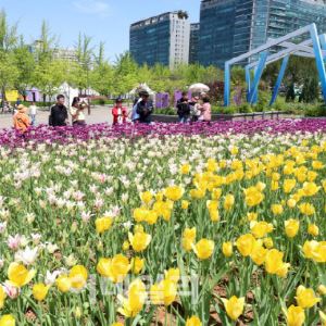 "봄소풍 어때요?"…맑고 깨끗한 하늘 속 '포근'[오늘날씨]