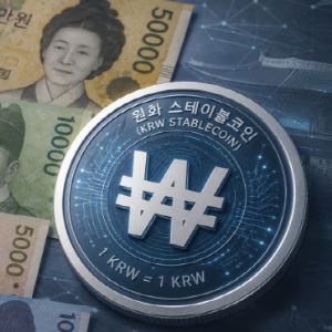 금융硏 “원화 스테이블코인, 은행 외에 핀테크에도 발행 허용해야”