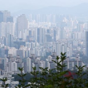 “코인 팔아 집 샀대”…30대 큰손 김대리 늘어난 이유