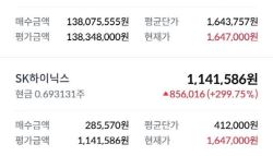 17억 대출해 SK하이닉스 올인한 공무원…계좌 인증 글 화제