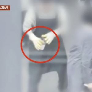 "쓰레기통서 꺼내 생선에 와르르"...광장시장 '그 식당', 결국