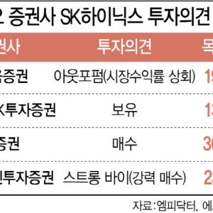 "하닉 팔 때 됐나?" 목표가 300만원도 나왔는데…또 투자의견 하향