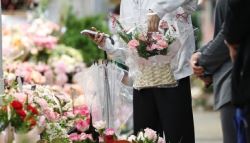 어버이날에도…"꽃집 26년 했는데 최악" 사장님들 한숨
