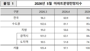 5월 서울 아파트 분양전망 ‘맑음’…“전세난 따른 수요 증가 영향”