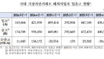 코인 열기 식자 해외 투자자금 환류…국내 거래소는 ‘환전 창구’ 전락