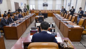 여야, 20일 외통위 개최 합의...나무호 피격 현안질의