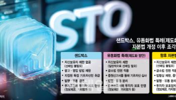 [기자수첩]시장 개척자는 쫓겨나는 STO 제도화의 역설