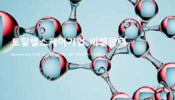 비엘팜텍, 영업이익률 23.9%…"1분기 실적 개선세 뚜렷, 수익성 회복 신호탄"
