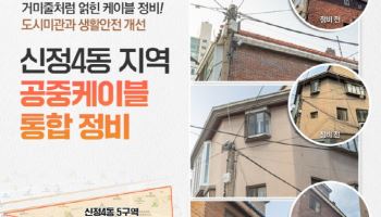 양천구, 공주케이블 정비