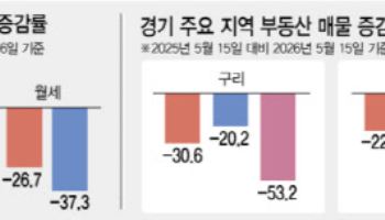 서울 전세난민이 경기권 매물 싹쓸이…구리 집값 2억 밀어올렸다