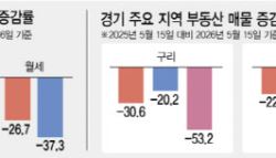 "2억 올랐어요" 탈서울 전세난민이 끌어올린 경기 집값