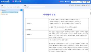 휴온스랩, 휴온스글로벌 아닌 휴온스로 흡수합병...왜?