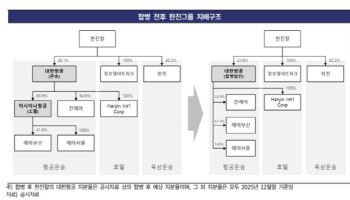 [마켓인]한기평, 한진칼·대한항공 신용등급 전망 ‘긍정적’ 상향