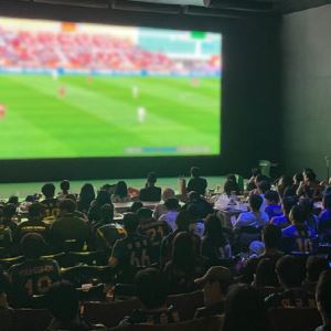 페스티버 뷰잉파티, 서울서 울산 HD 경기 단체 관람 행사 성료