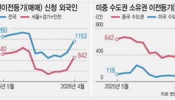 '한국 집 바겐세일, 지금이 기회다'…왕서방 폭풍쇼핑