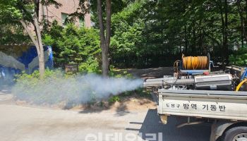 도봉구, '러브버그' 선제적 대응