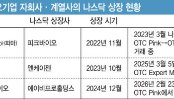 로킷아메리카, 美서 불확실성·고평가 지적...K바이오 나스닥 상장 잔혹사 재현?